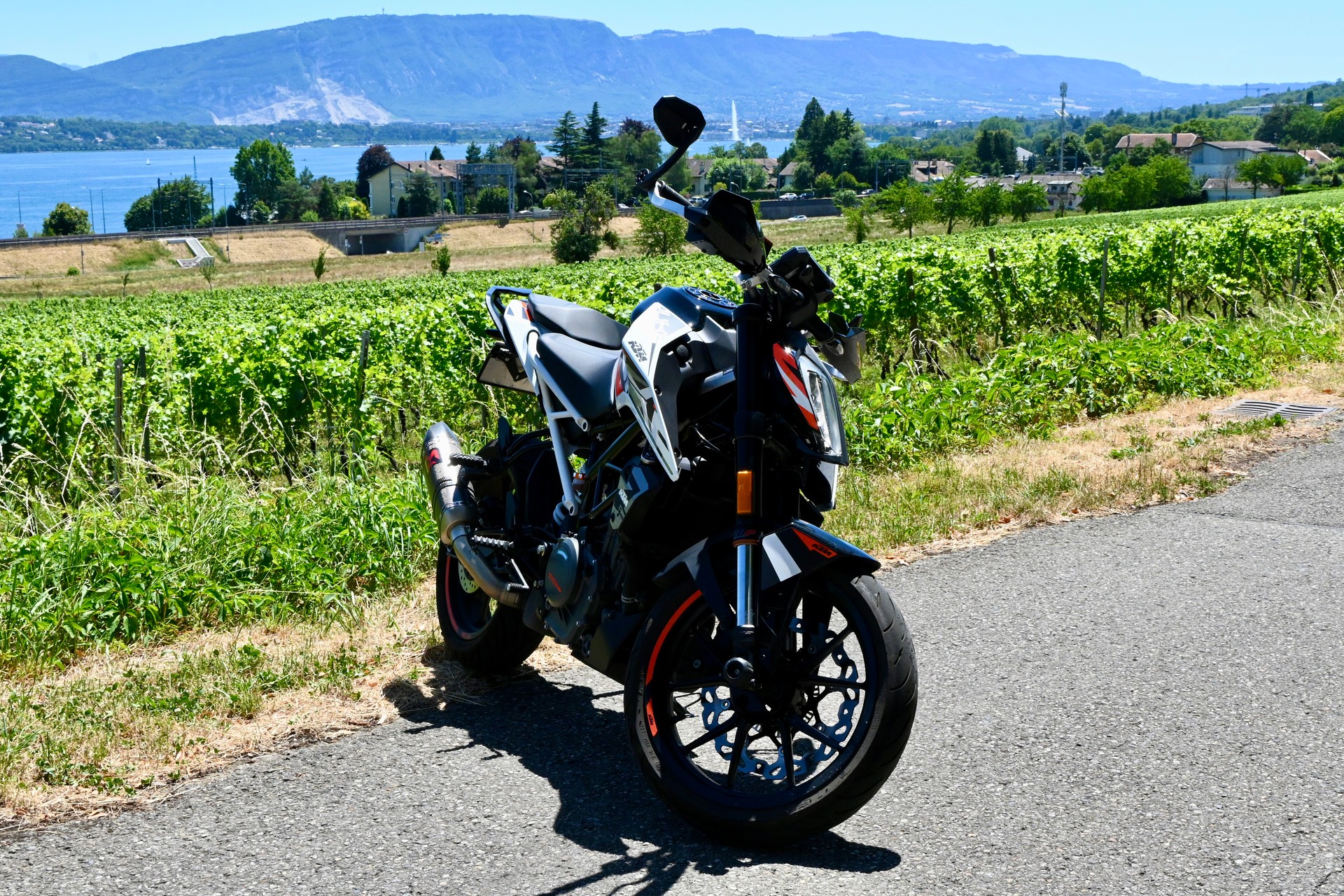 KTM 390 Duke-image-6