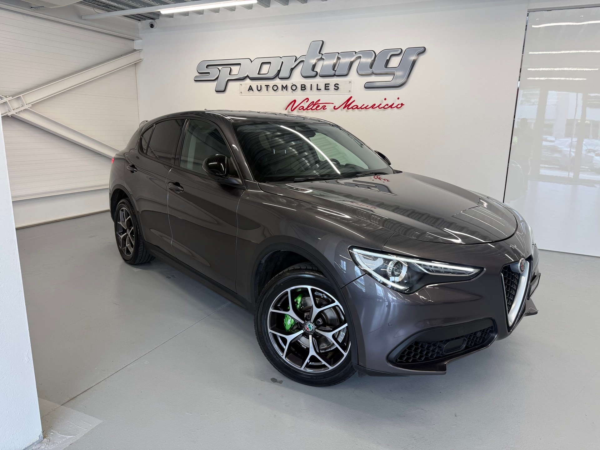 ALFA ROMEO Stelvio 2.0 Super Q4 Automatic-showroom-element-1