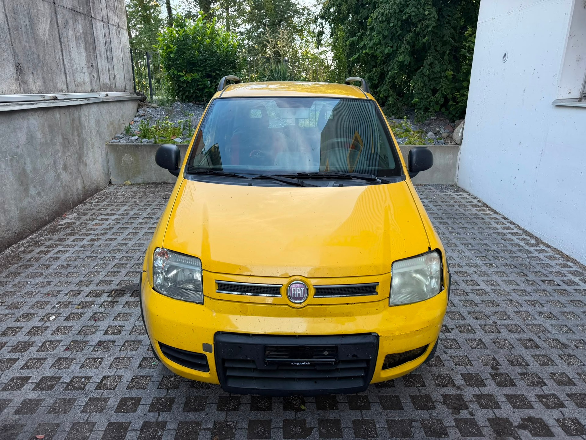 FIAT Panda Van 1.2i Trekking 4x4 Lieferwagen Export-image-5