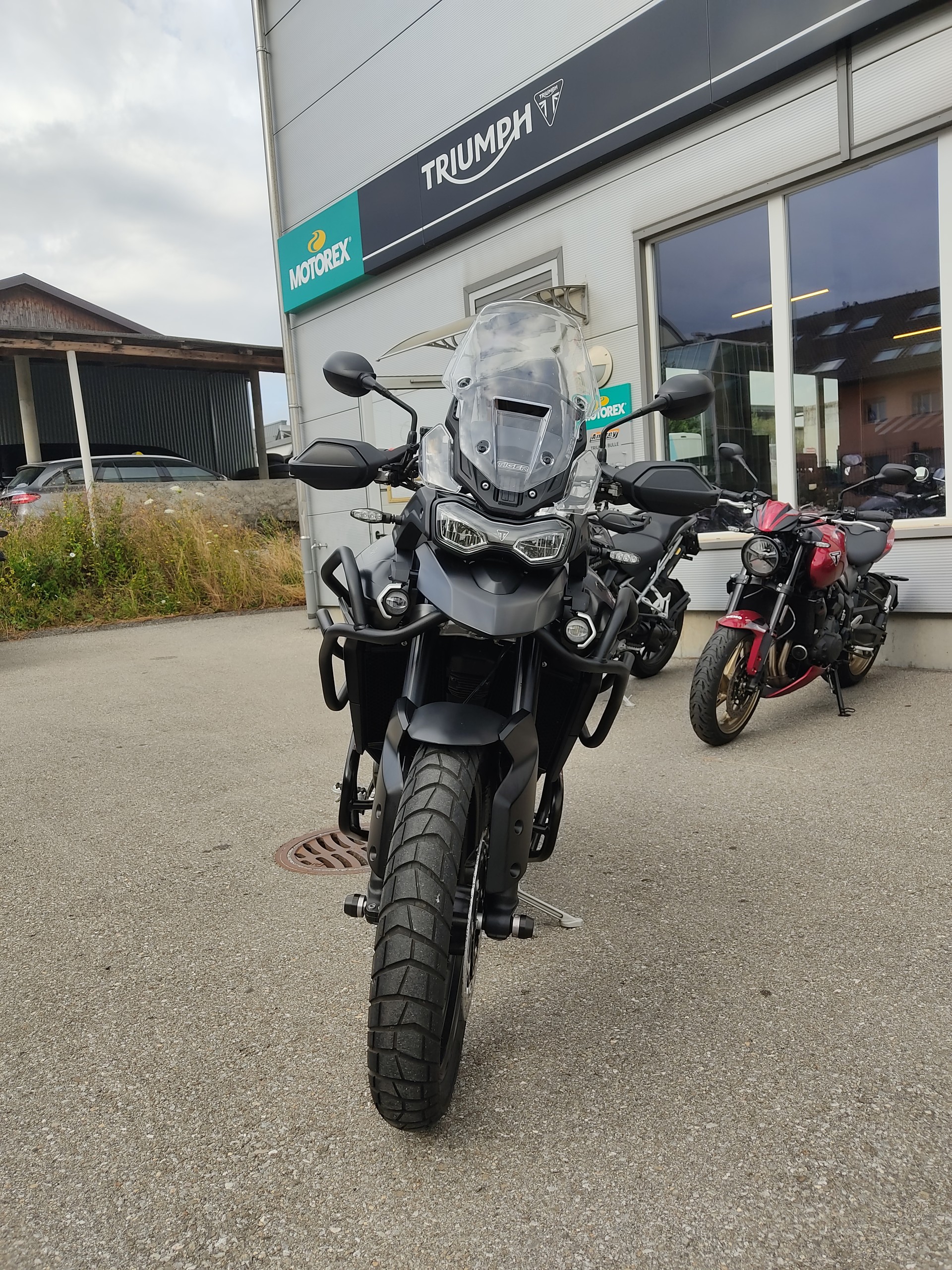 TRIUMPH Tiger 900 GT Pro-image-3
