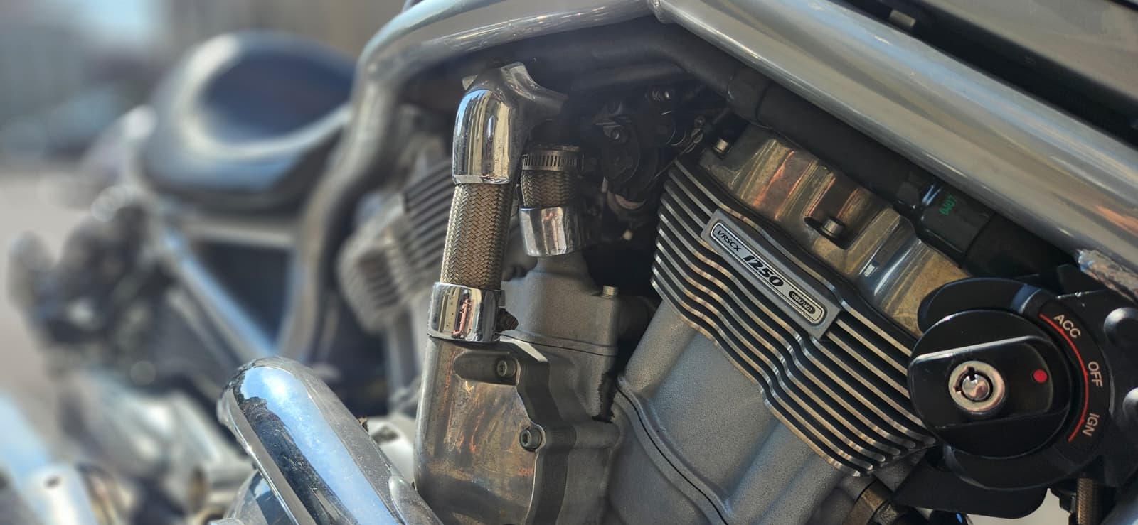 HARLEY-DAVIDSON VRSCX V-Rod-image-6