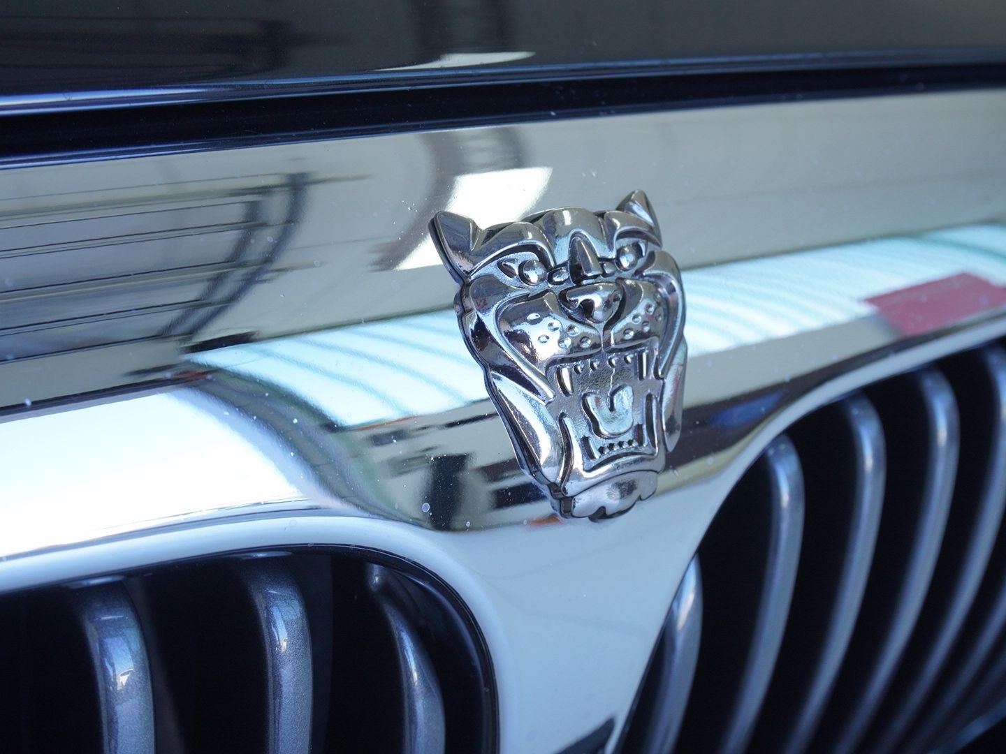 JAGUAR X-Type 3.0 V6 Traction4 Executive-image-9