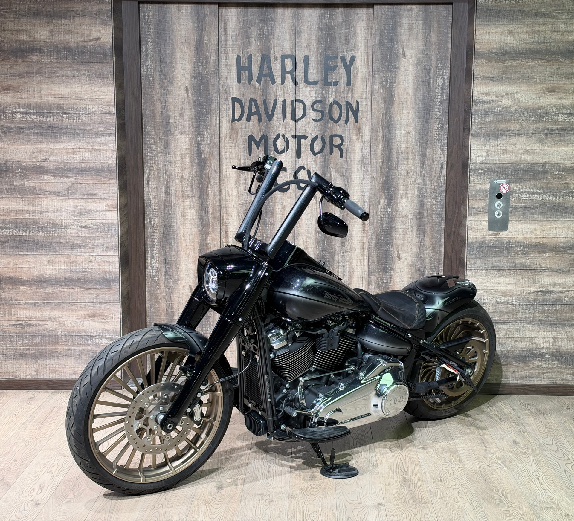 HARLEY-DAVIDSON FLFBS Fat Boy 114 ABS-image-2