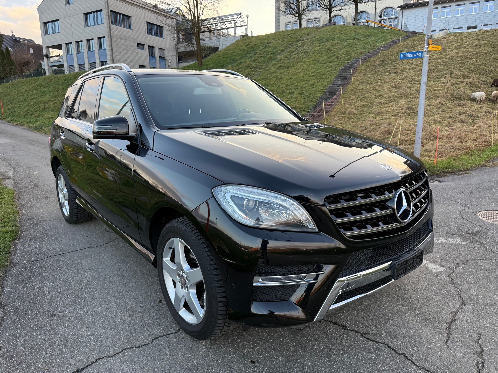 MERCEDES-BENZ ML 250 BlueTEC Executive 4Matic 7G-Tronic-image-1