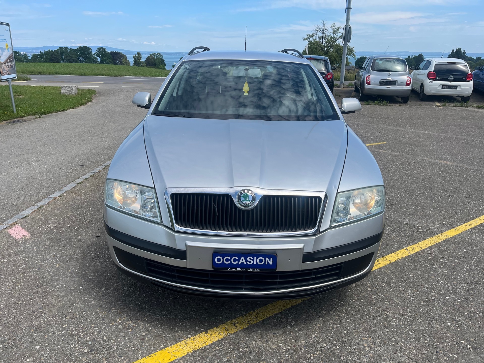SKODA Octavia 1.9 TDI Swiss Adventure 4x4-image-4