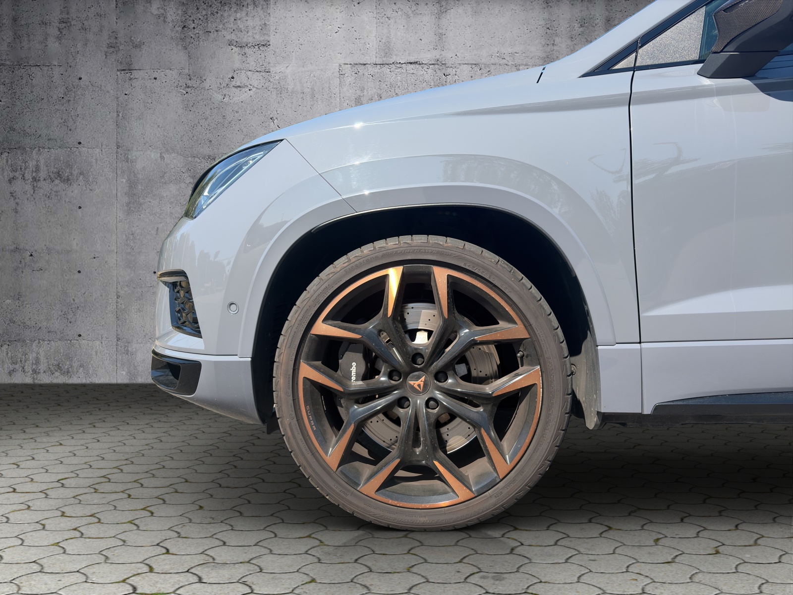 CUPRA Ateca Limited Edition 2.0TSI 4Drive DSG-image-15