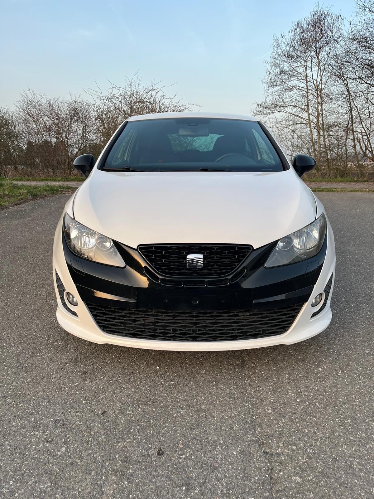 SEAT Ibiza SC 1.4 TSI Cupra R210 Swiss Racing DSG-image-5