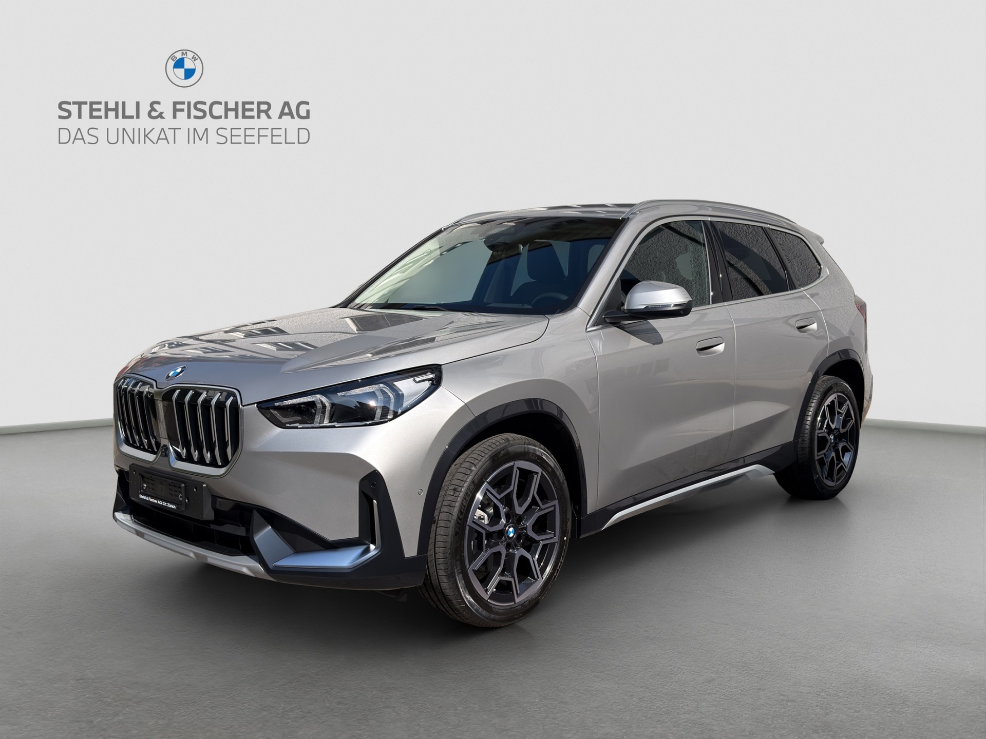 BMW X1 xDrive 20d 48V xLine