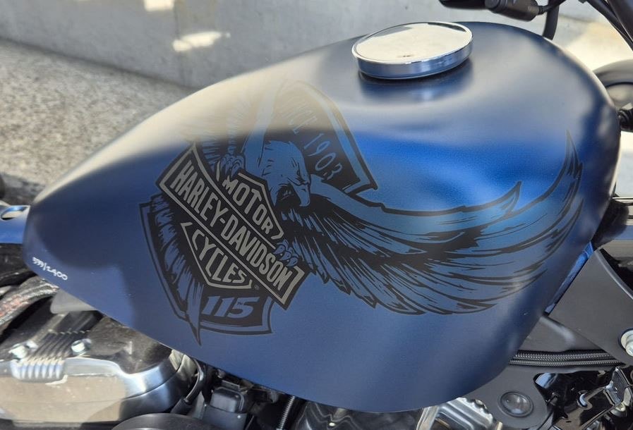 HARLEY-DAVIDSON XL 1200 XANX Forty Eight Anniversary X ABS-image-3