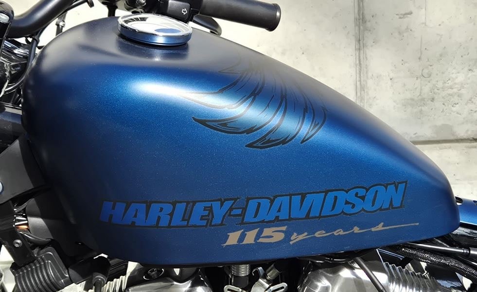 HARLEY-DAVIDSON XL 1200 XANX Forty Eight Anniversary X ABS-image-2