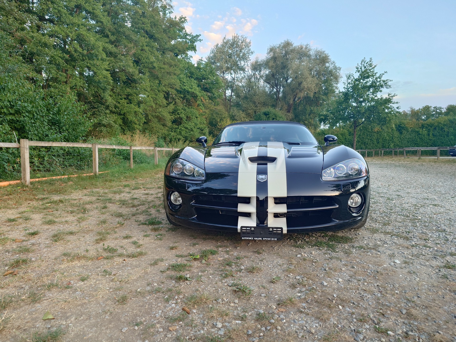 DODGE Viper SRT-10-image-2