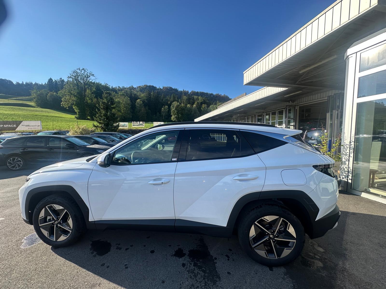 HYUNDAI Tucson 1.6 TGDI HEV Amplia 4WD-showroom-element-3