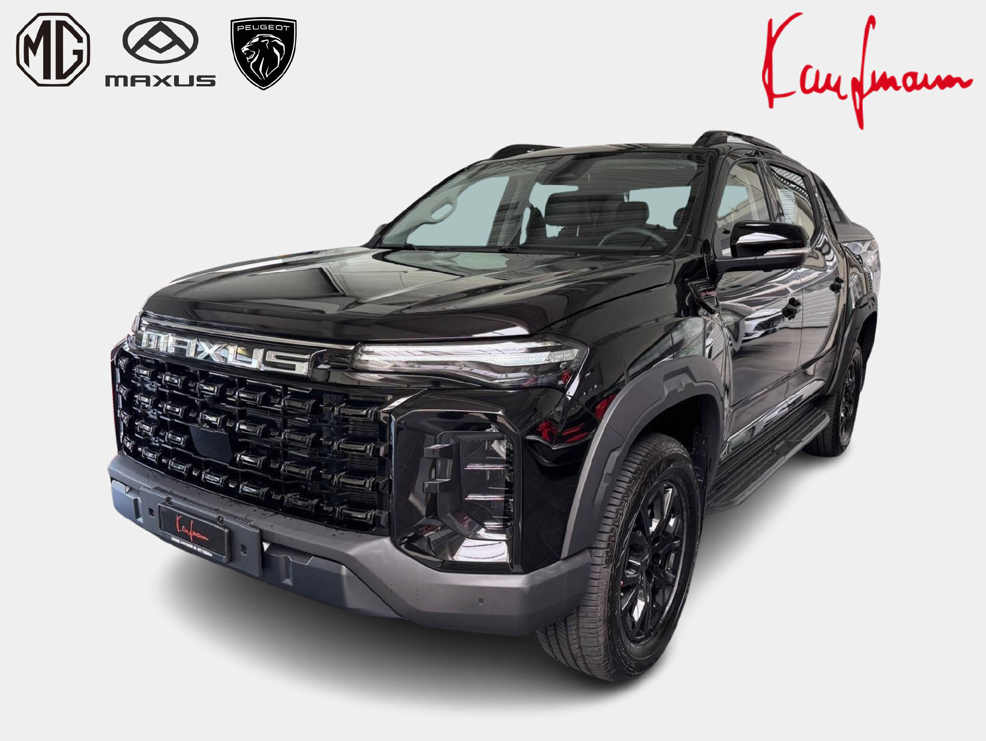 MAXUS T60-showroom-element-1