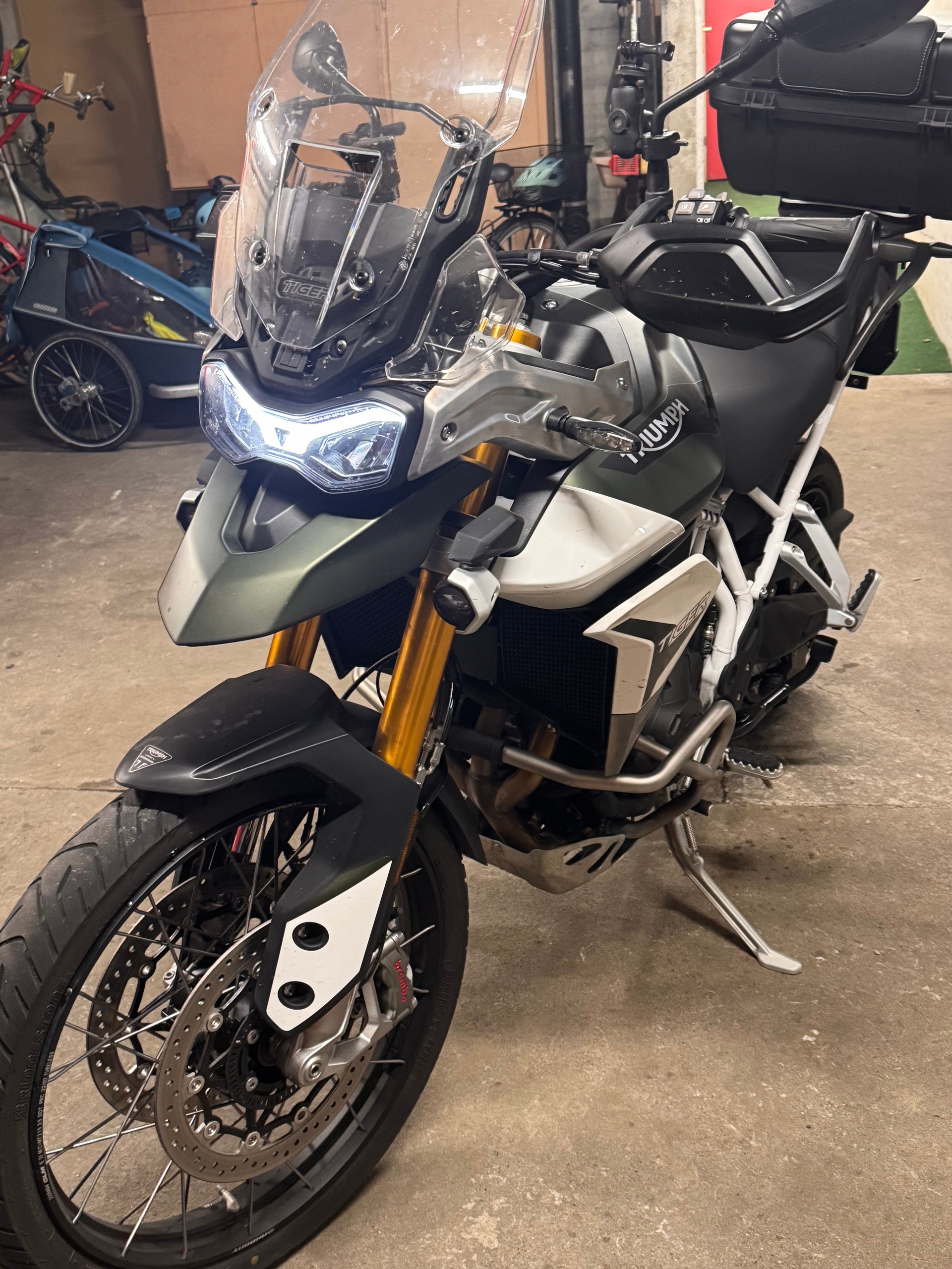 TRIUMPH Tiger 900 Rally Pro-image-0