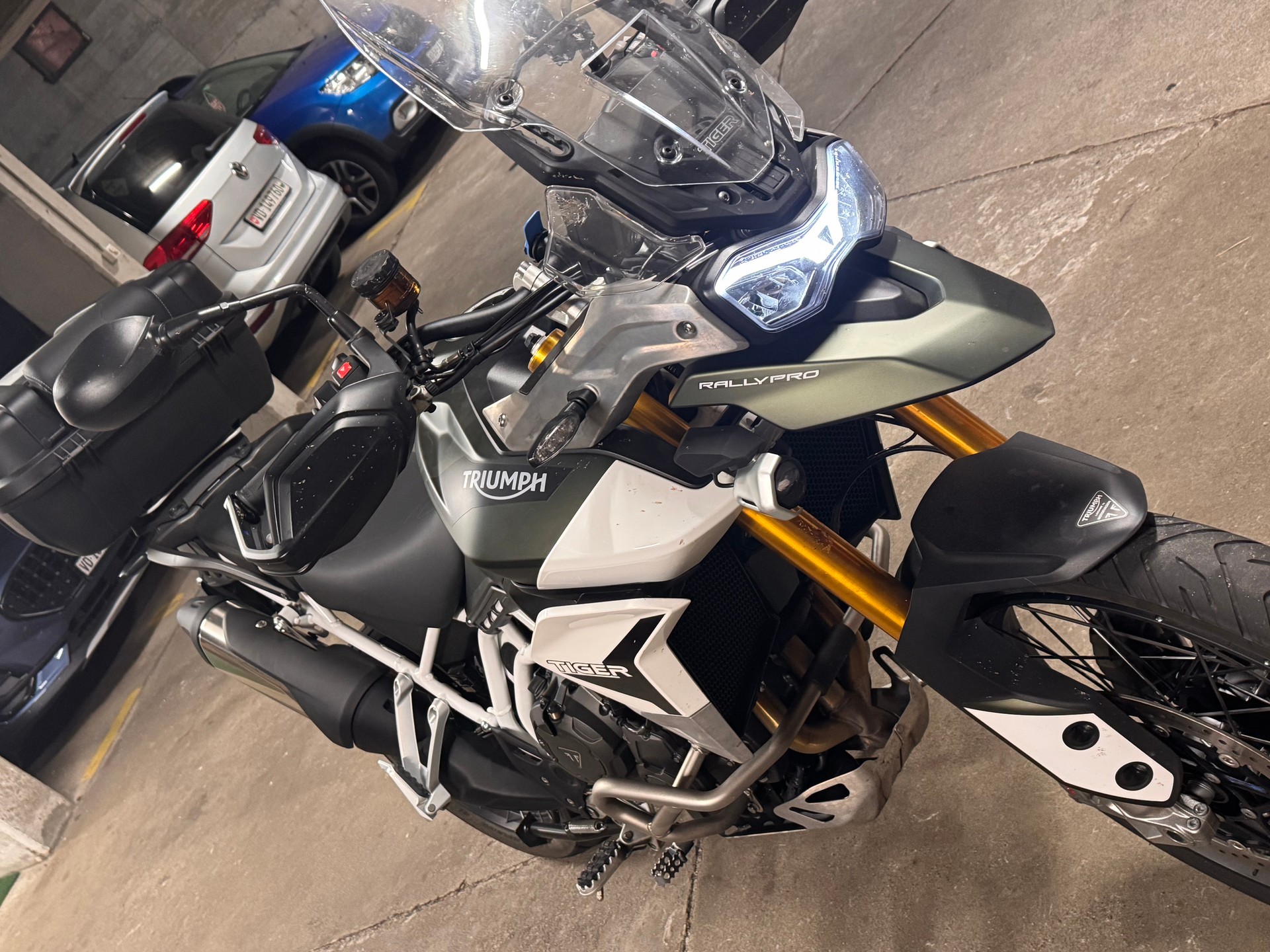 TRIUMPH Tiger 900 Rally Pro-image-2