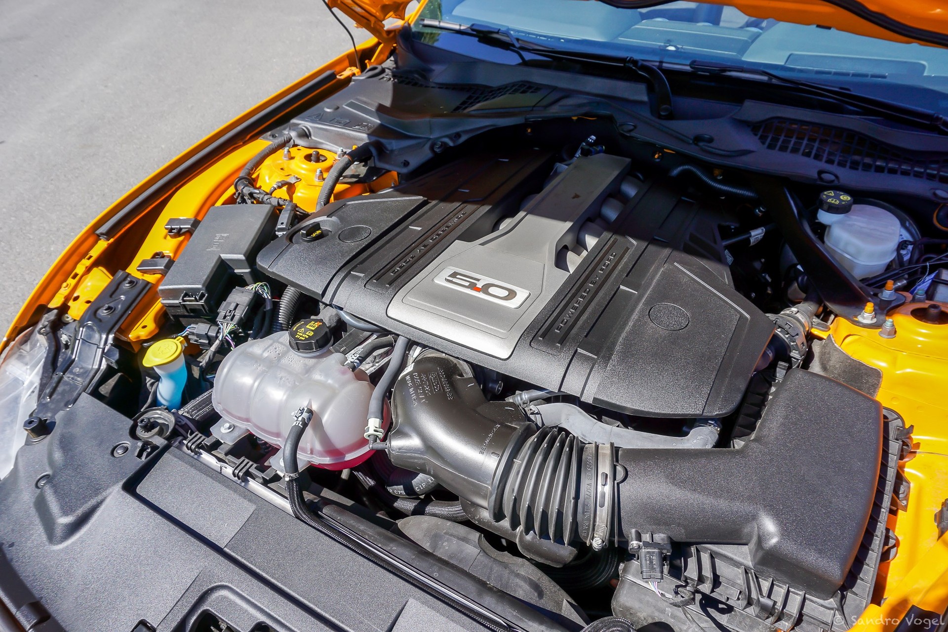 FORD Mustang Convertible 5.0 V8 GT Automat-image-15