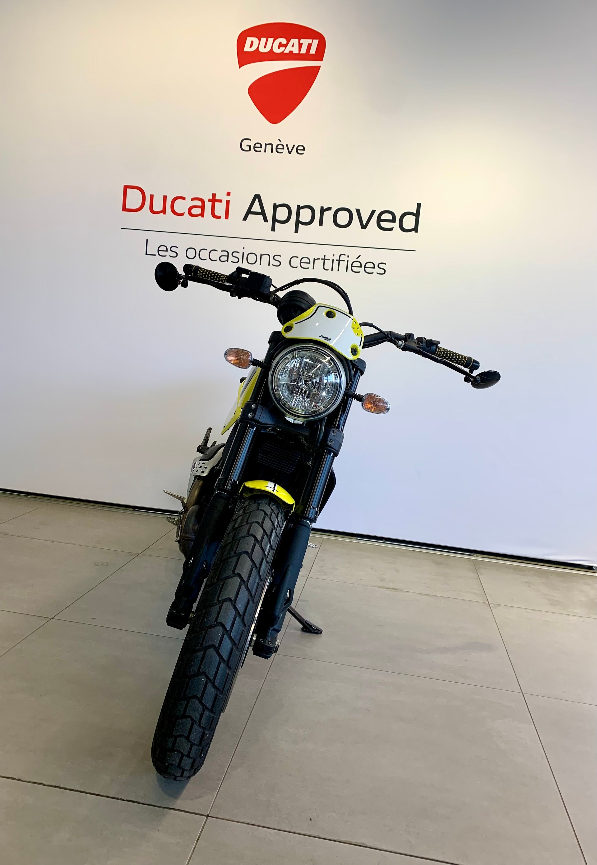 DUCATI Scrambler 800 Flat Track Pro-image-2
