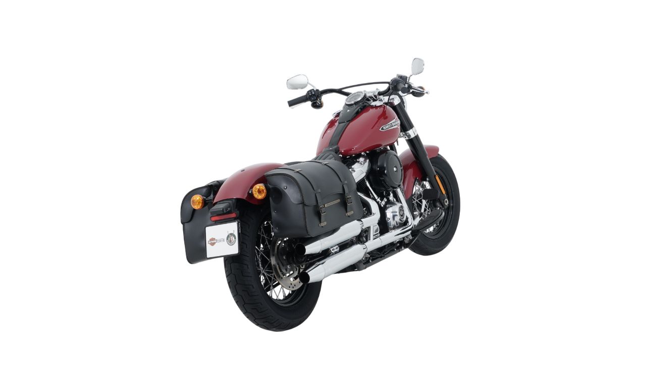 HARLEY-DAVIDSON FLSL Softail Slim 107-image-2