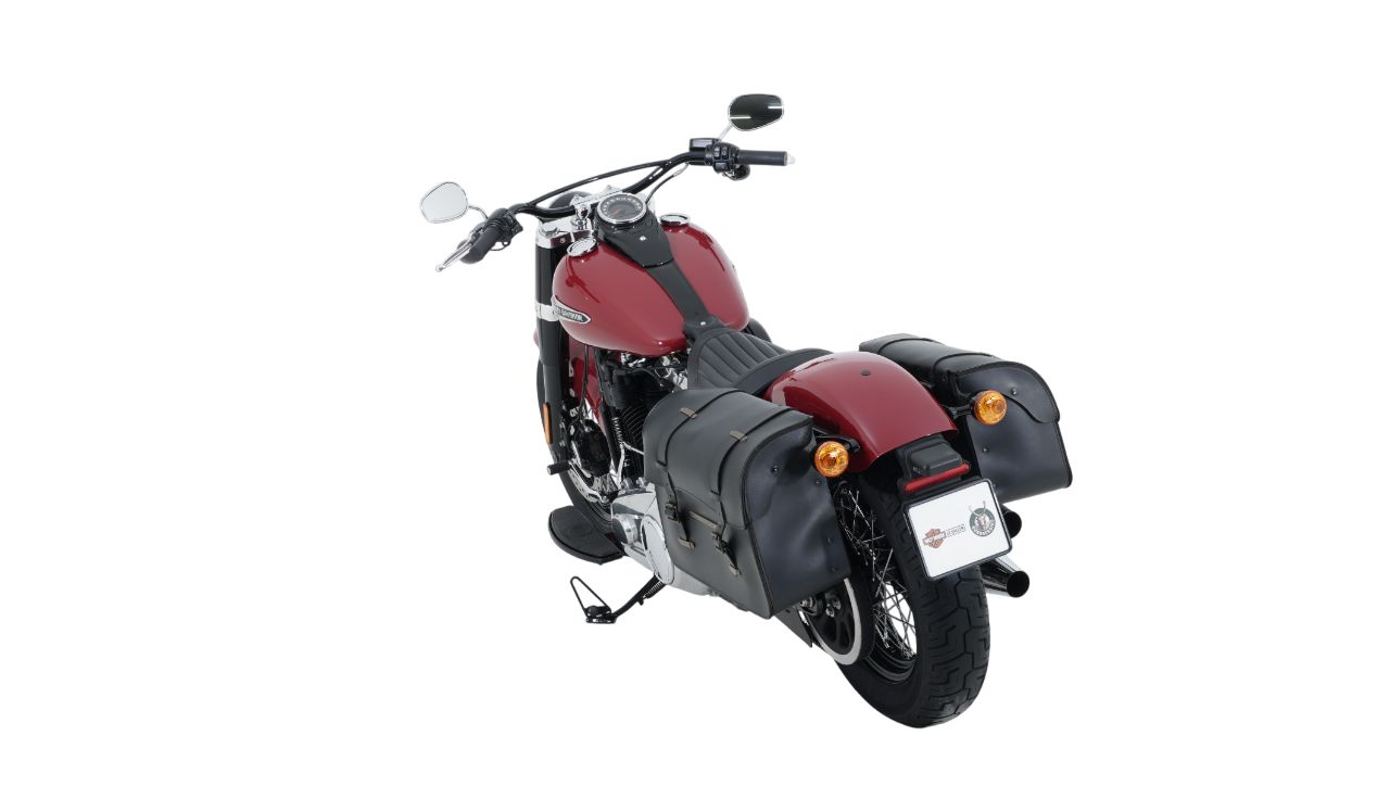 HARLEY-DAVIDSON FLSL Softail Slim 107-image-3