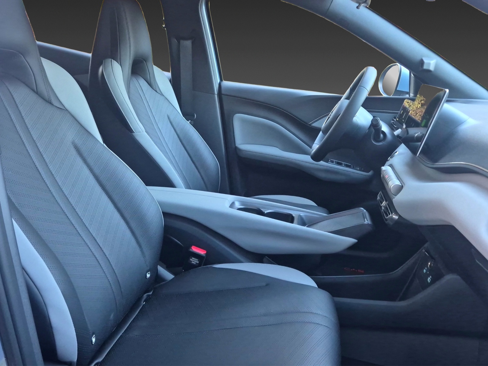 BYD Dolphin Surf 30 kWh Active-image-10