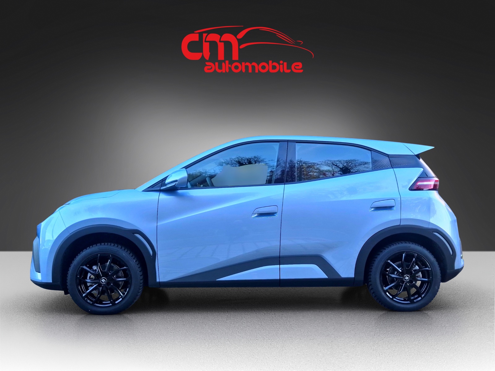 BYD Dolphin Surf 30 kWh Active-showroom-element-1