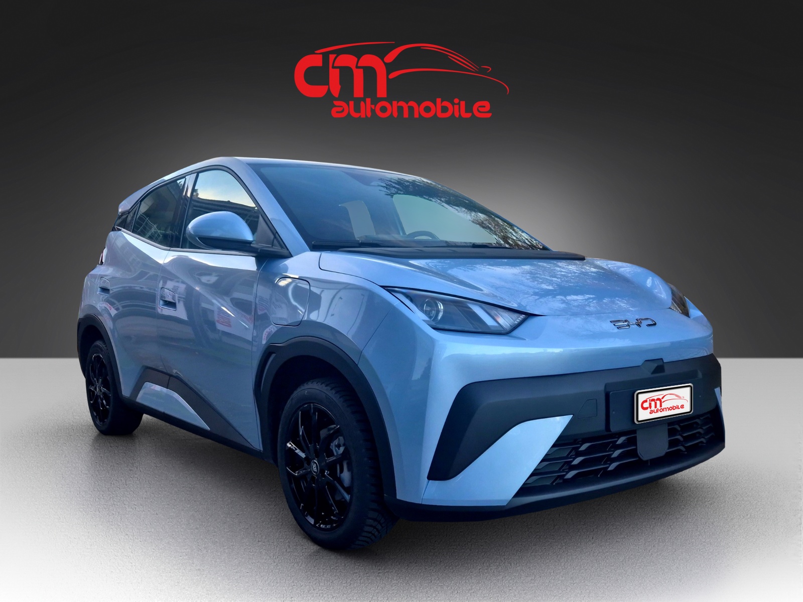 BYD Dolphin Surf 30 kWh Active-image-7