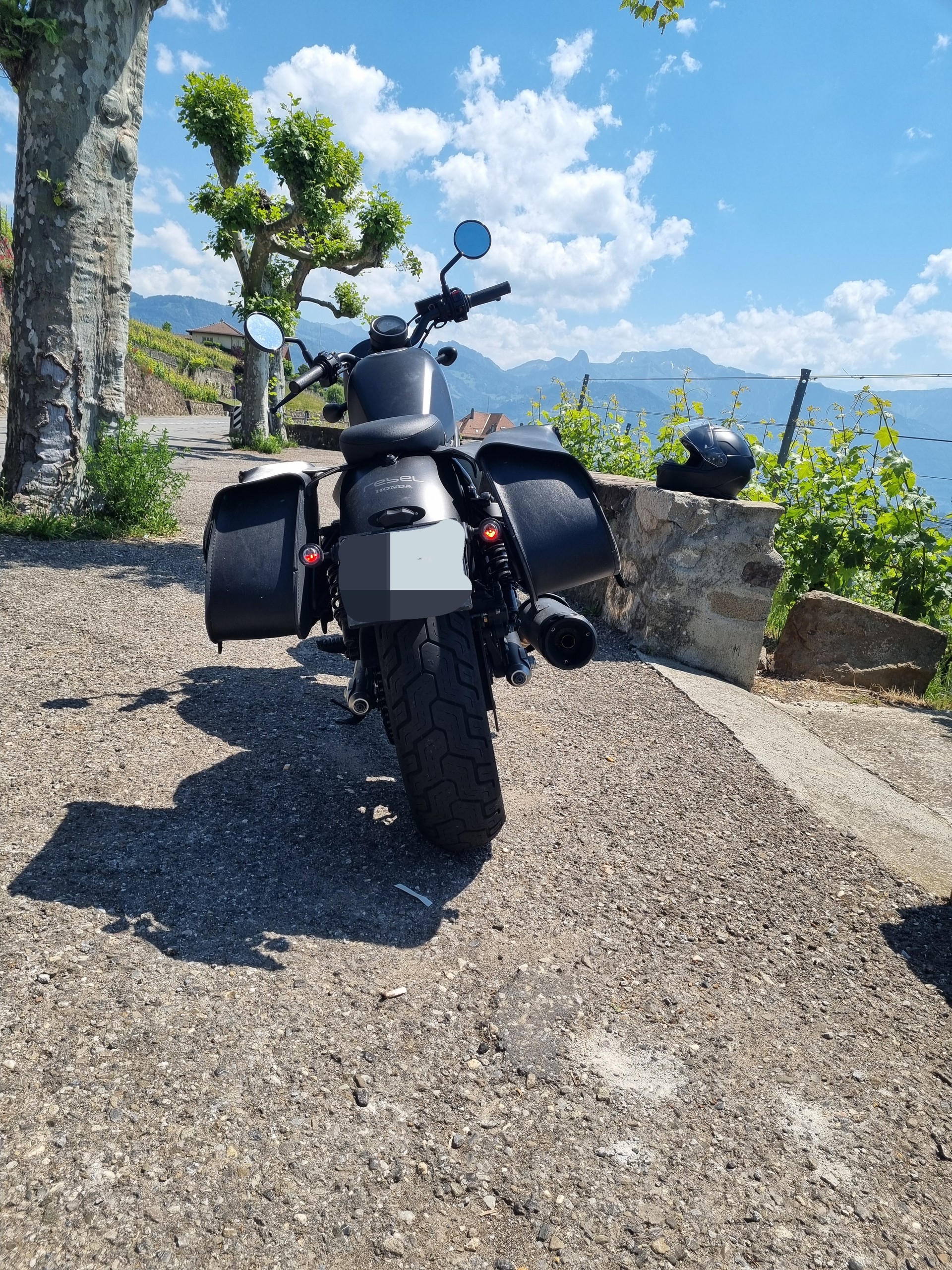 HONDA CMX500 SE Rebel S Edition-image-1