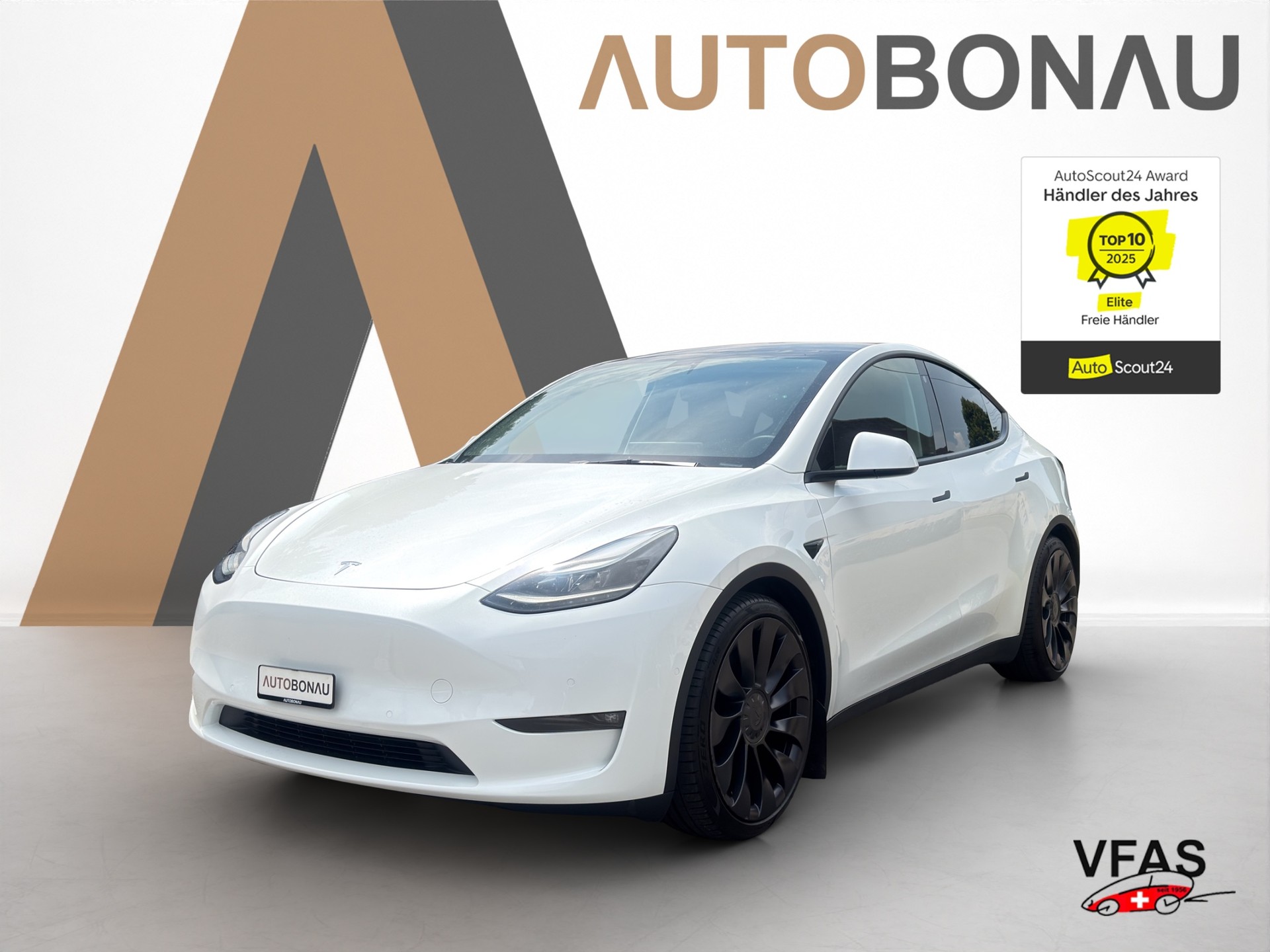TESLA Model Y Performance D Anhängerkupplung