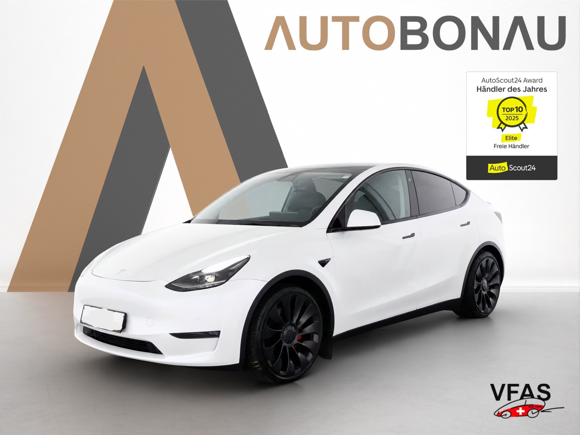TESLA Model Y Performance D Anhängerkupplung-image-22