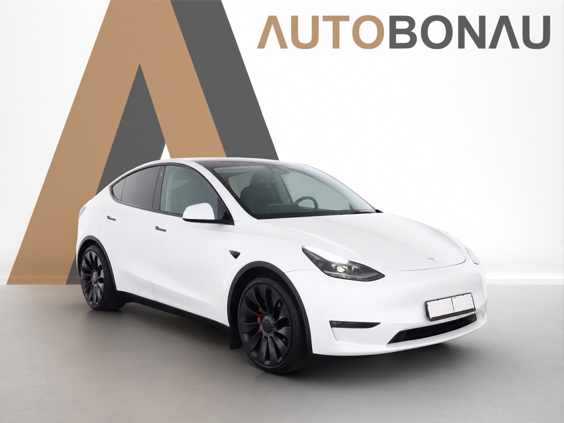 TESLA Model Y Performance D Anhängerkupplung-image-17