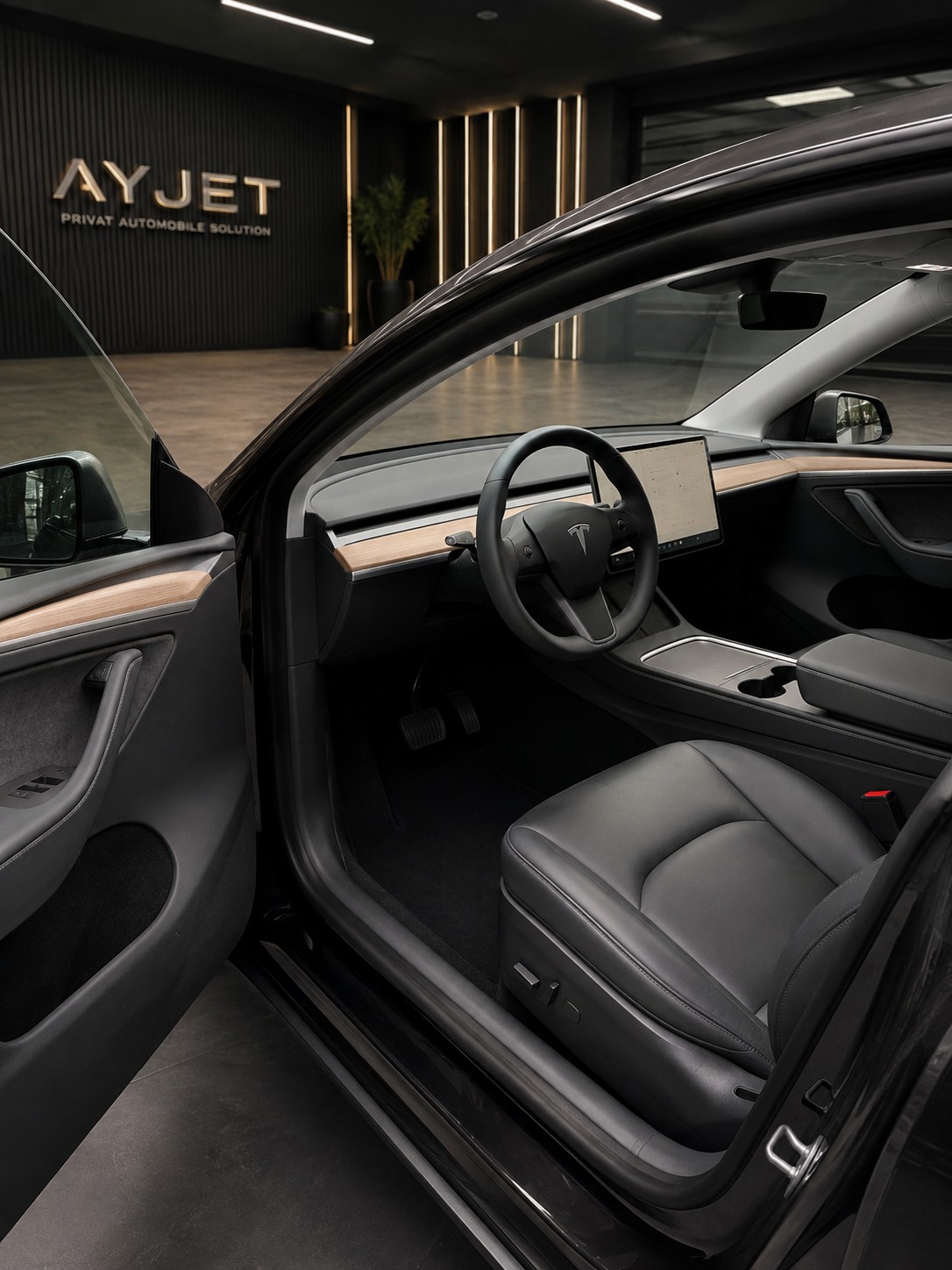 TESLA Model Y Long Range-image-4