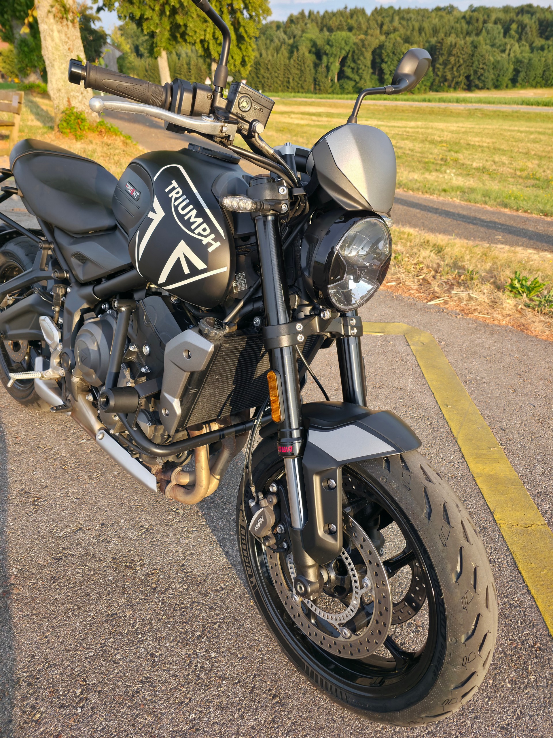 TRIUMPH Trident 660-image-5