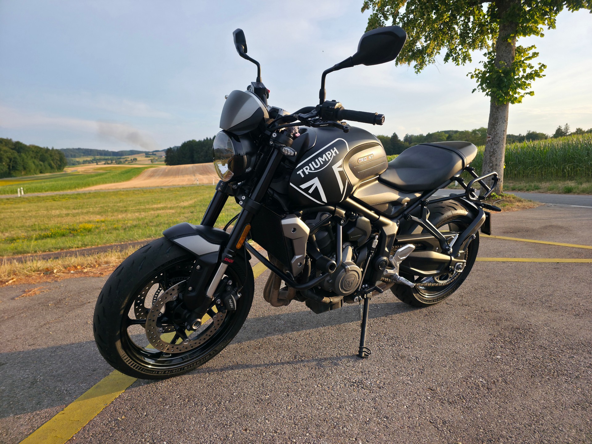 TRIUMPH Trident 660-image-4