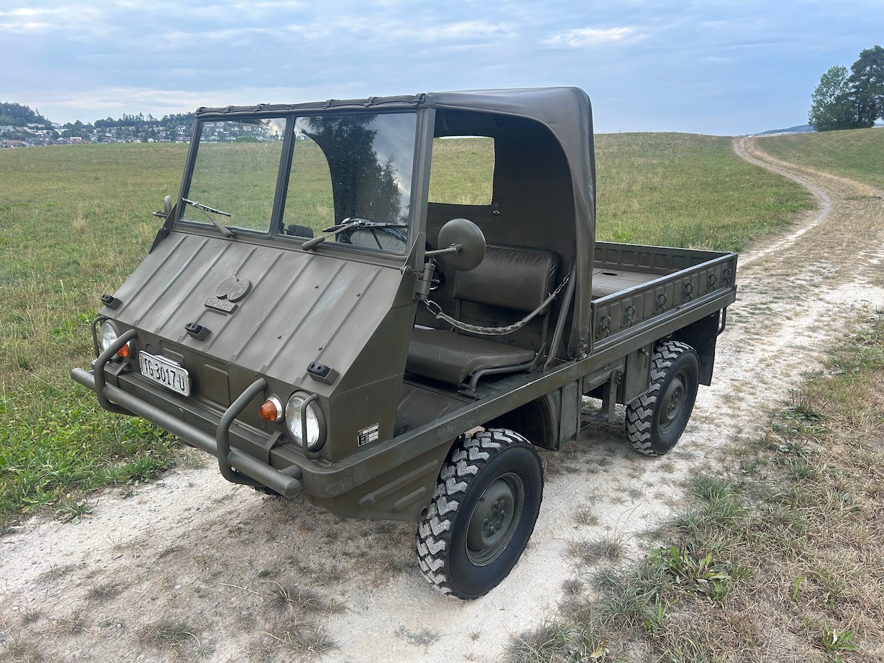 STEYR Puch Haflinger-image-15