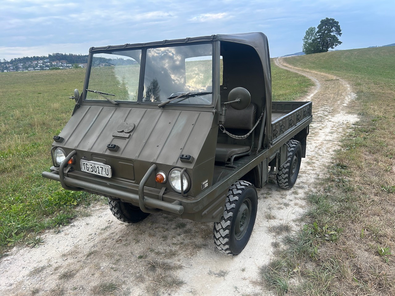 STEYR Puch Haflinger-image-14