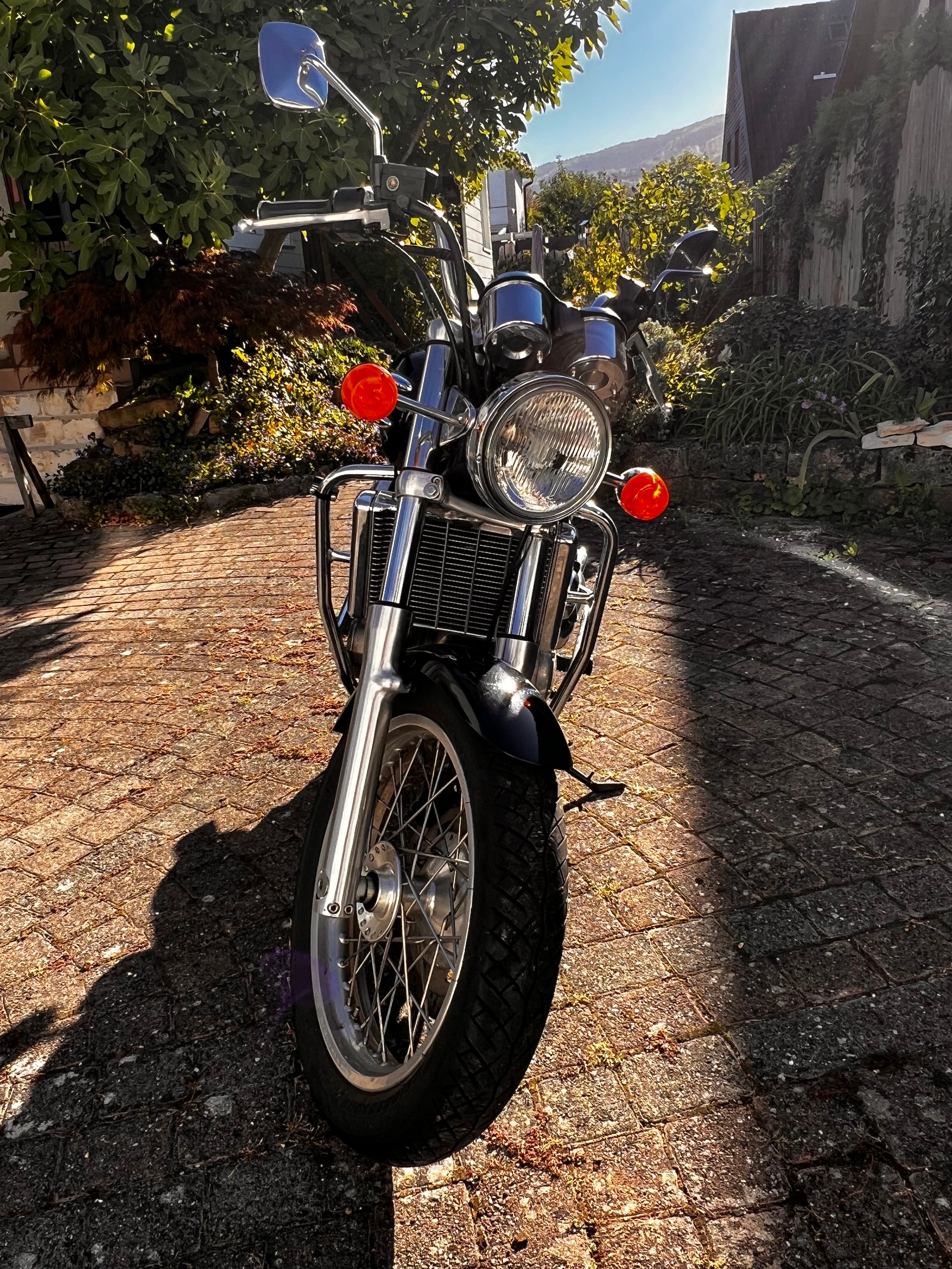 TRIUMPH Thunderbird 900-image-1