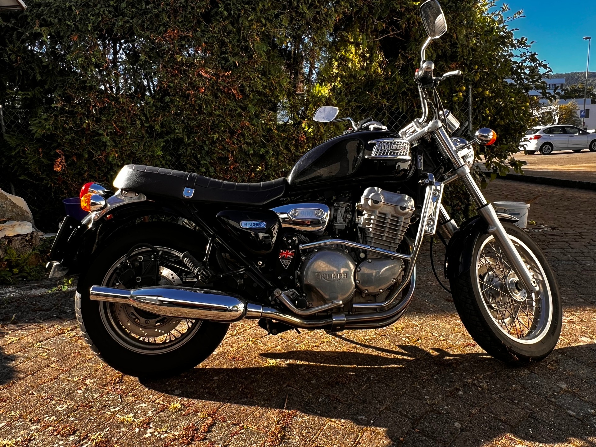 TRIUMPH Thunderbird 900-image-0