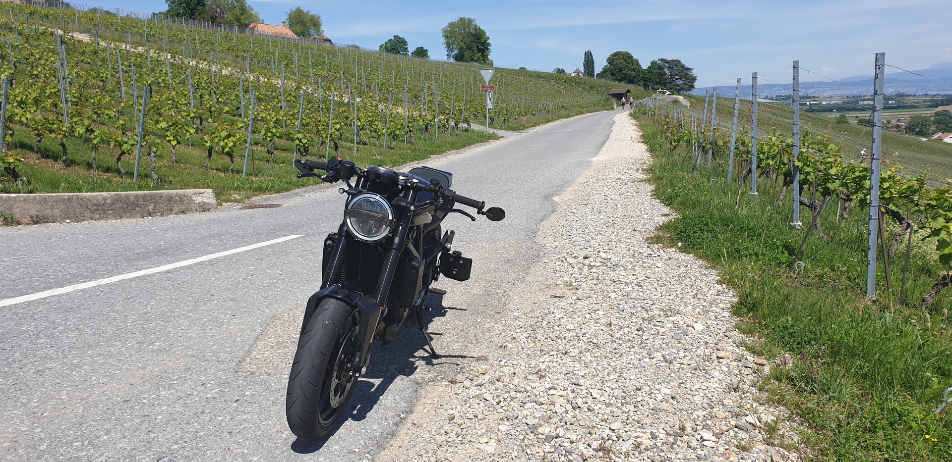 HUSQVARNA Vitpilen 701-image-4