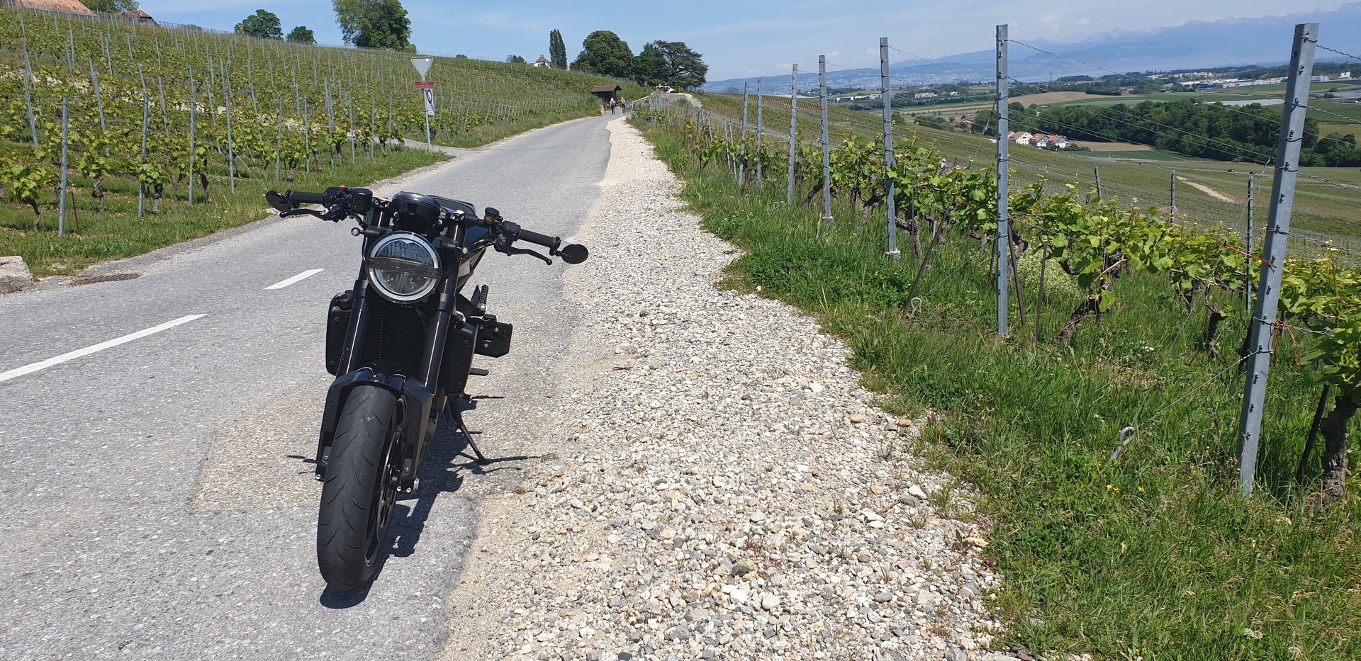 HUSQVARNA Vitpilen 701-image-3