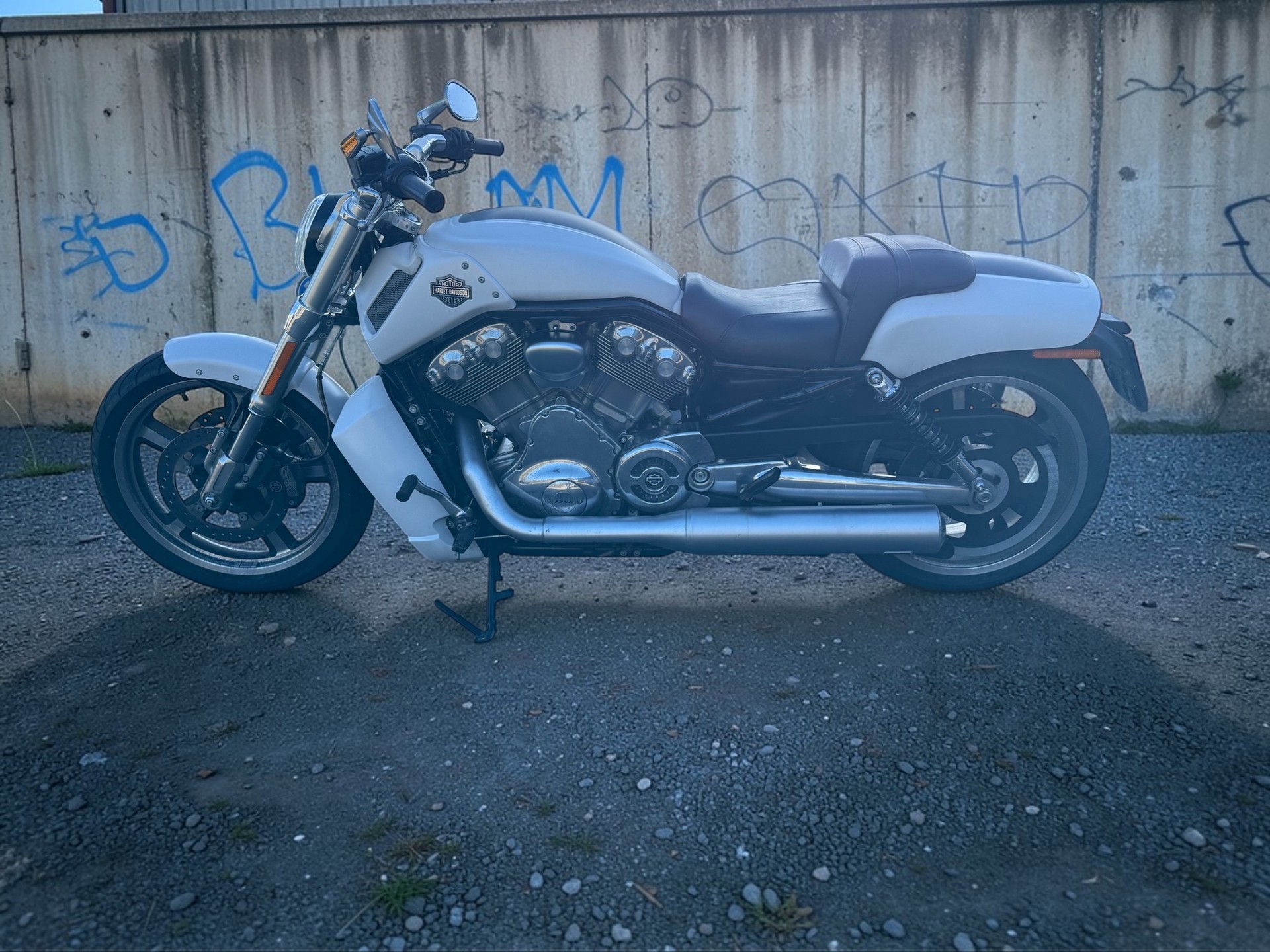 HARLEY-DAVIDSON VRSCF V-Rod Muscle ABS-image-8