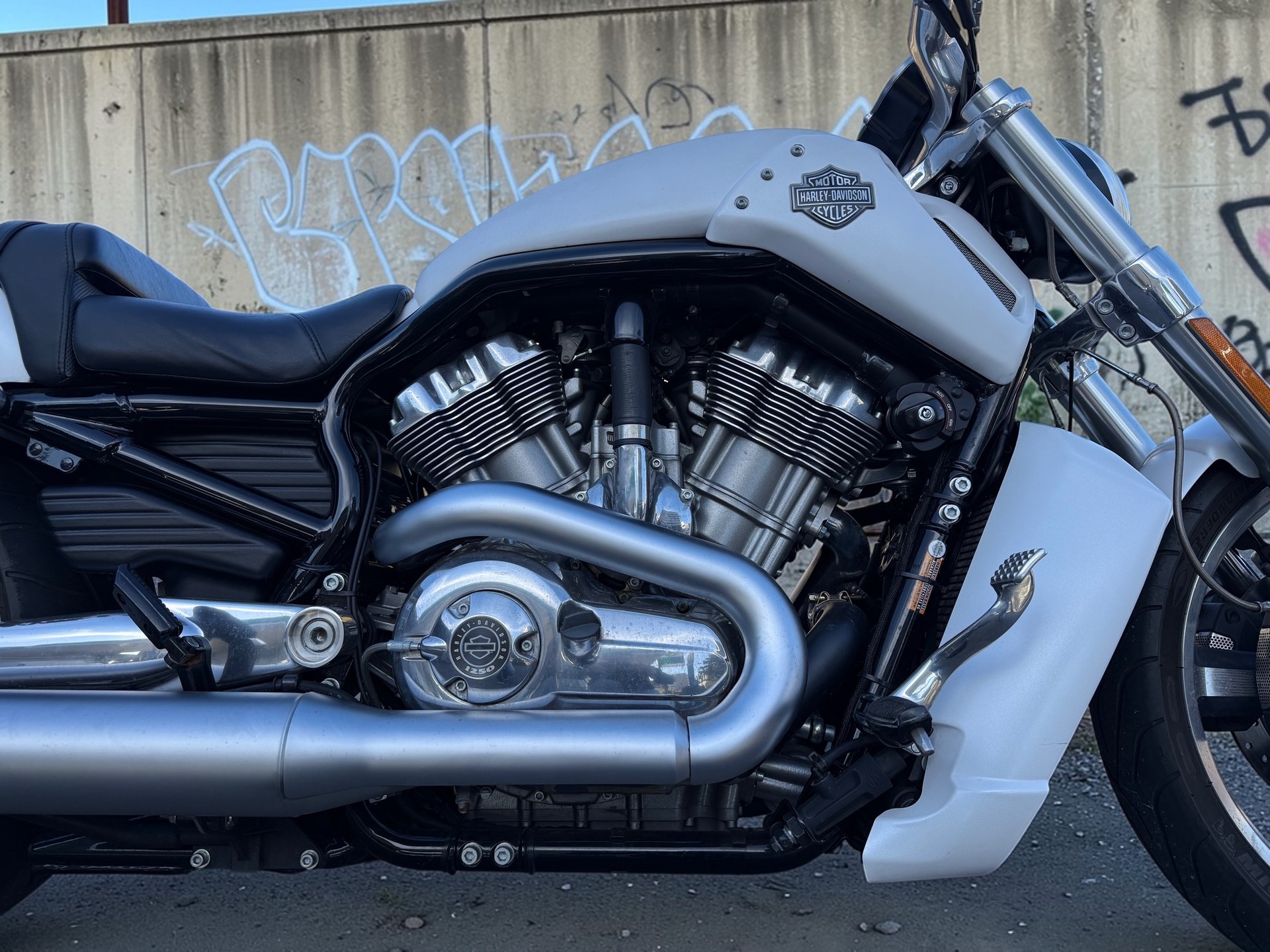 HARLEY-DAVIDSON VRSCF V-Rod Muscle ABS-image-1