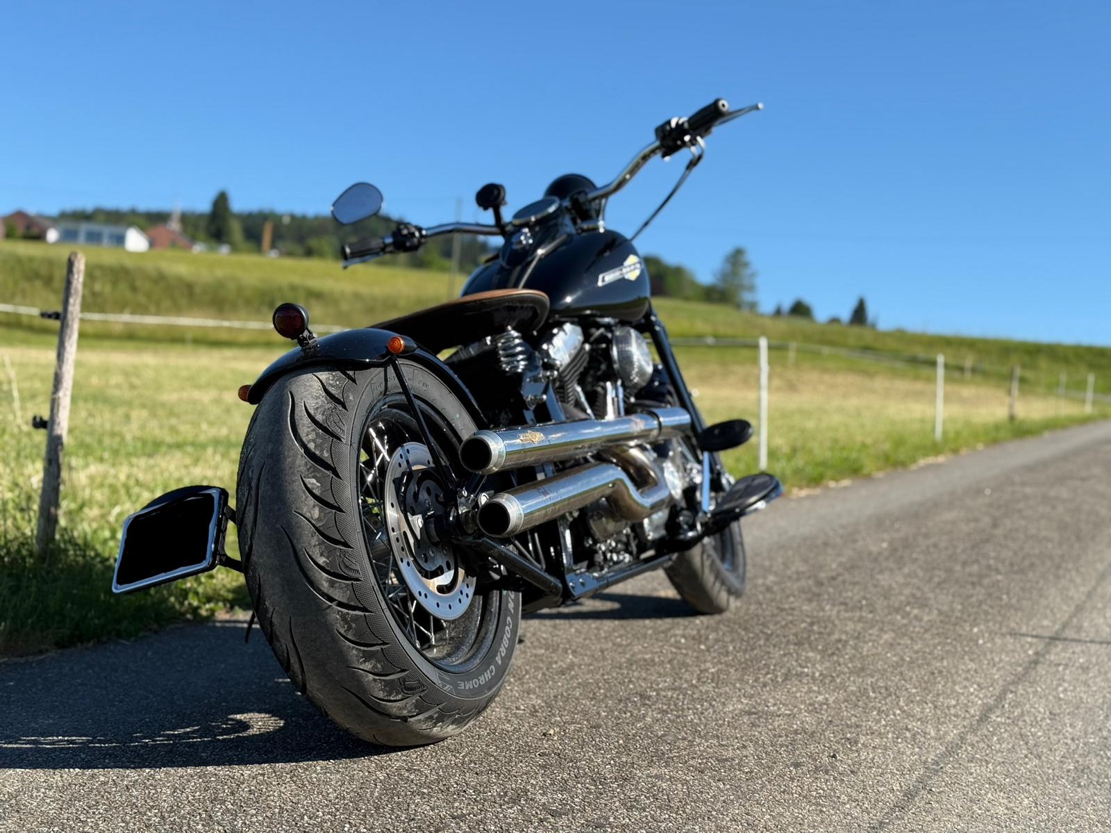HARLEY-DAVIDSON FLSTSB Cross Bones-image-1