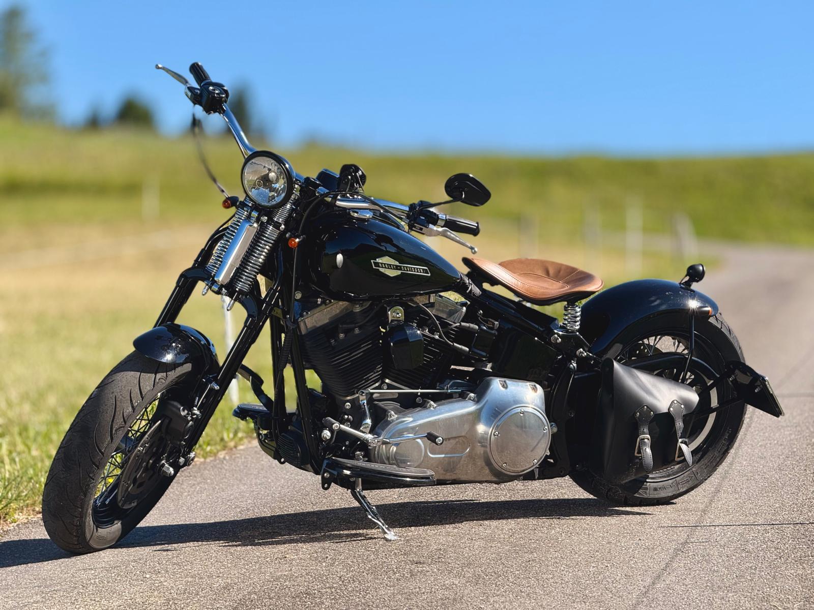 HARLEY-DAVIDSON FLSTSB Cross Bones-image-3