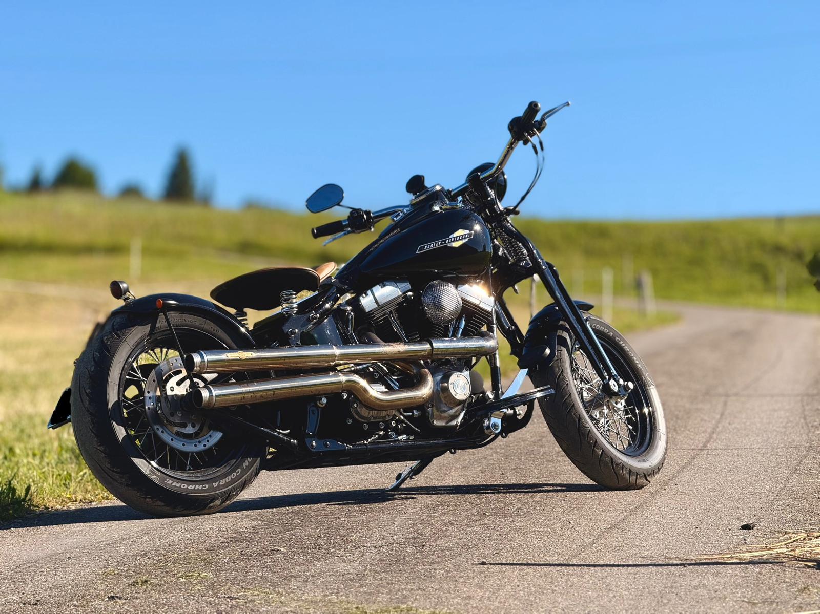 HARLEY-DAVIDSON FLSTSB Cross Bones-image-0