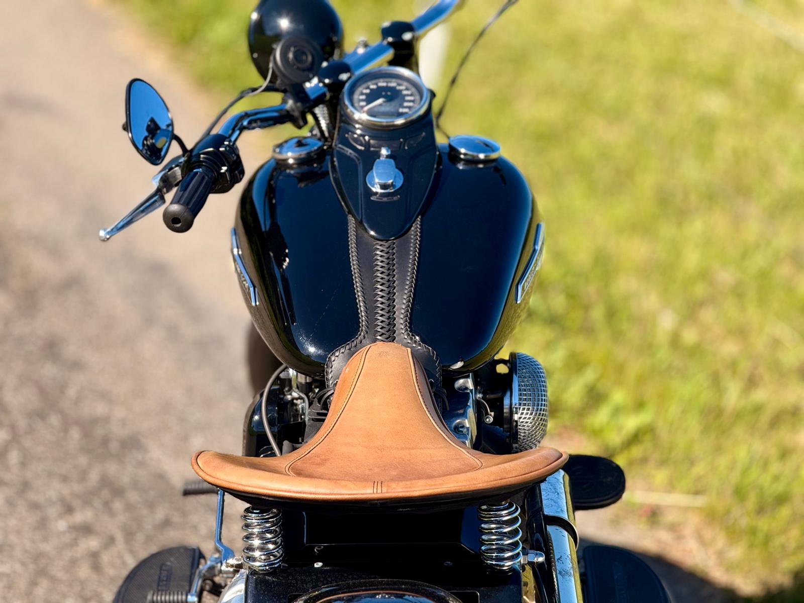 HARLEY-DAVIDSON FLSTSB Cross Bones-image-5