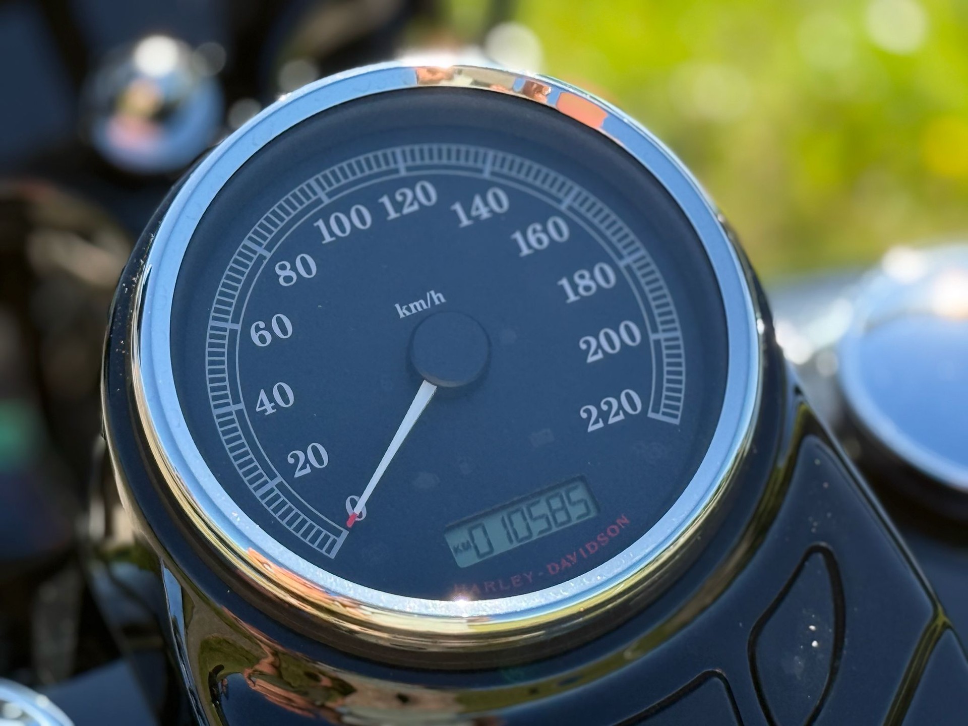 HARLEY-DAVIDSON FLSTSB Cross Bones-image-6