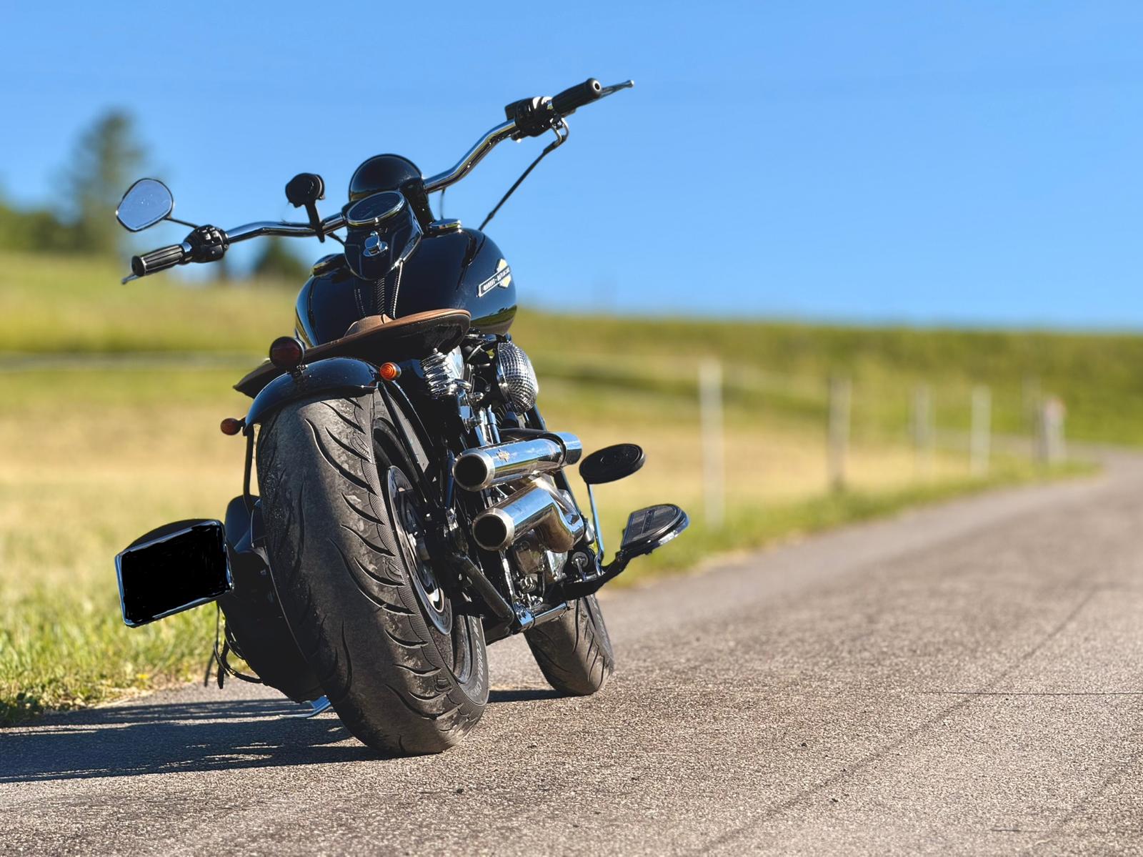 HARLEY-DAVIDSON FLSTSB Cross Bones-image-2