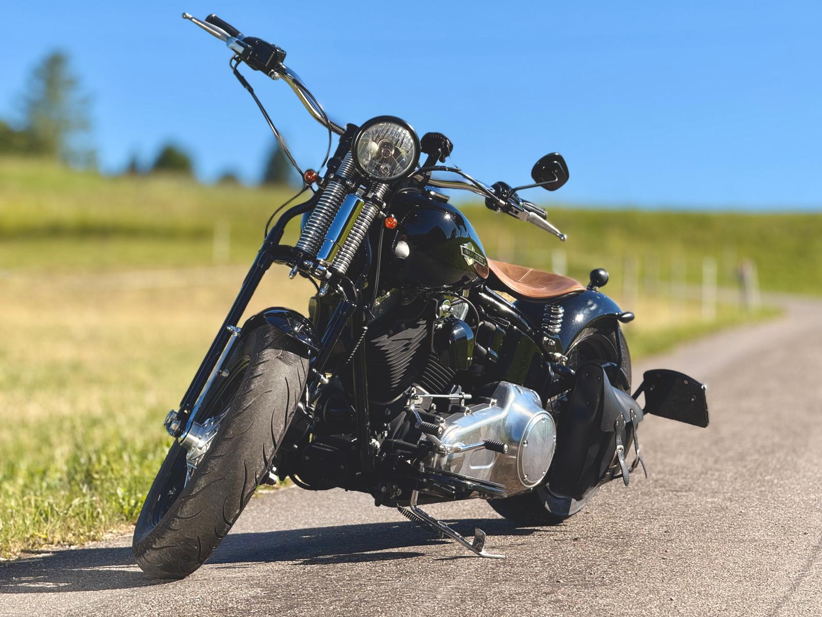 HARLEY-DAVIDSON FLSTSB Cross Bones-image-4