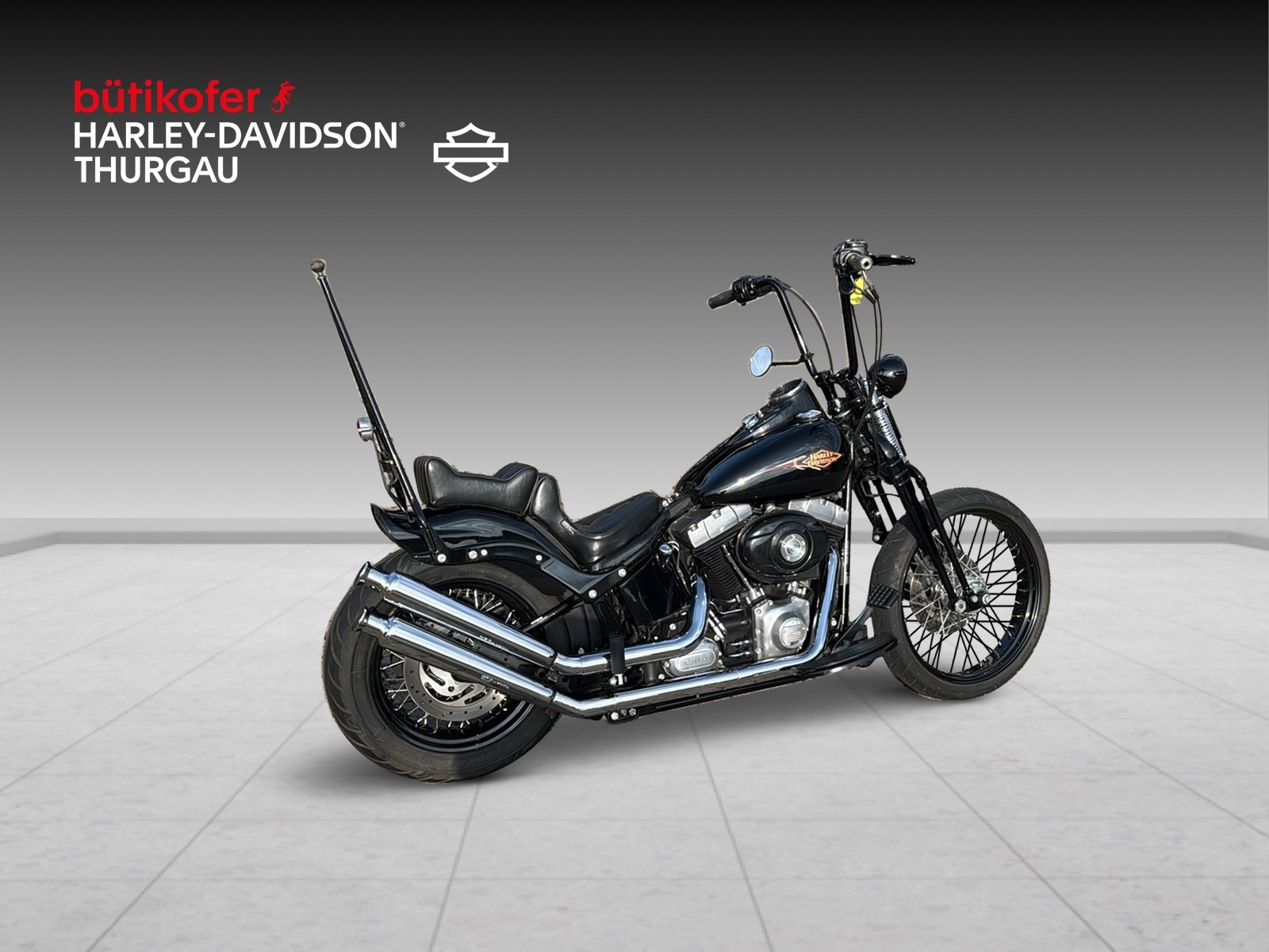 HARLEY-DAVIDSON FLSTSB Cross Bones-showroom-element-2