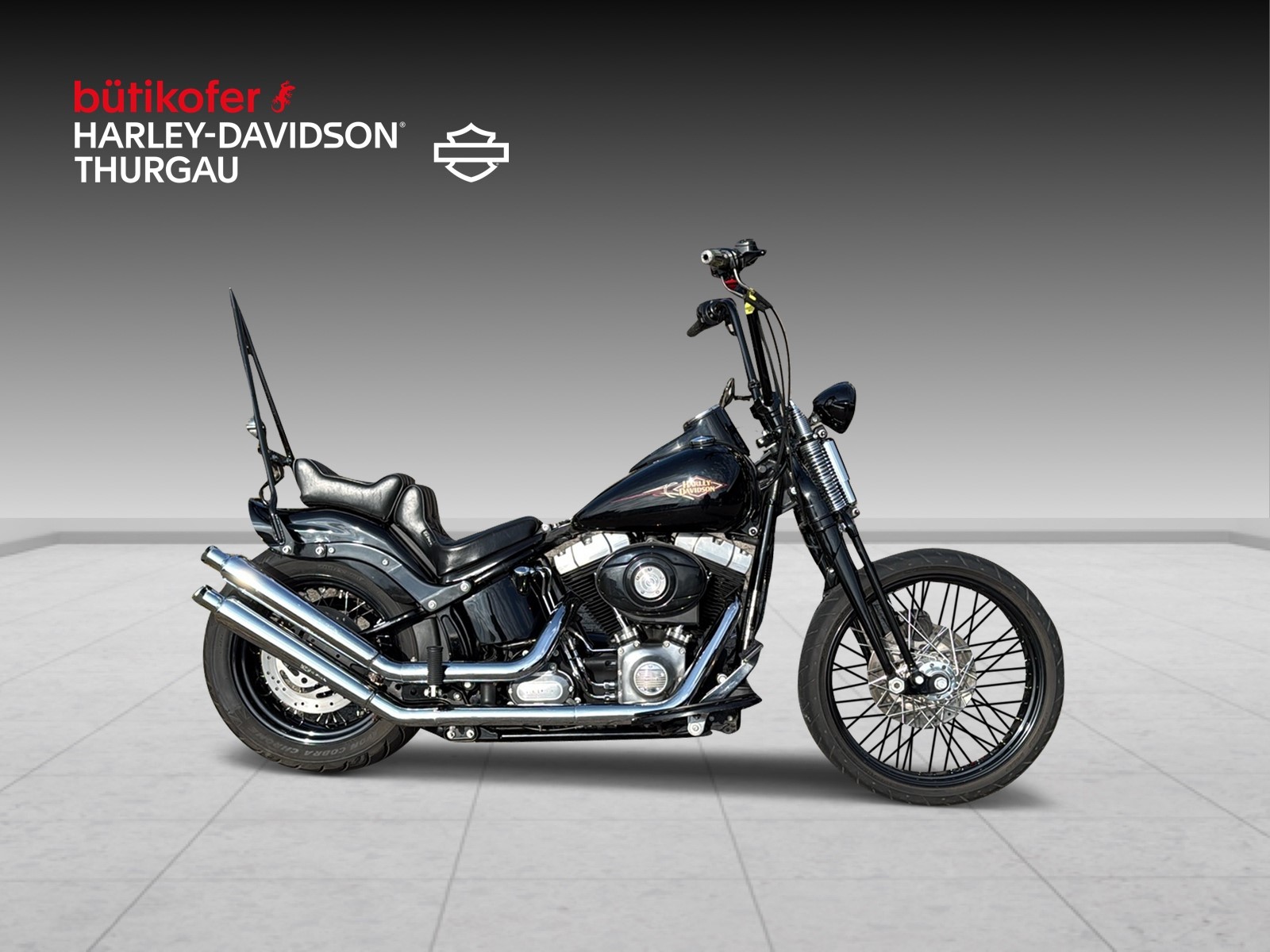 HARLEY-DAVIDSON FLSTSB Cross Bones-showroom-element-1